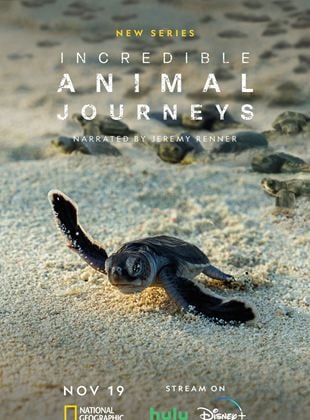 Incredible Animal Journeys Saison 1 en streaming